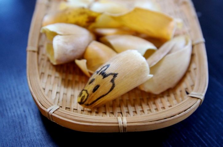 たけのこの皮