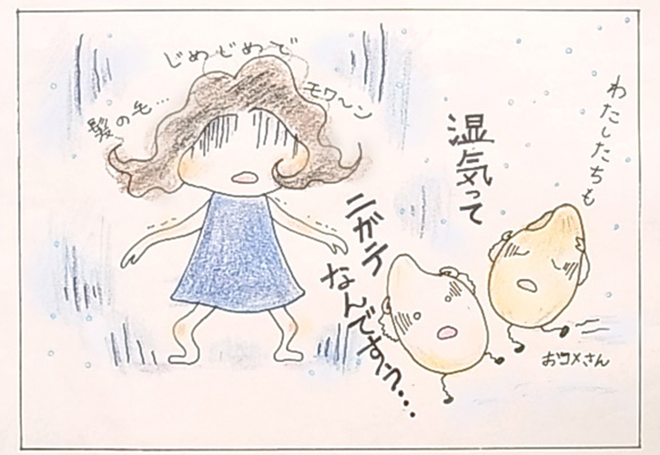 お米保存
