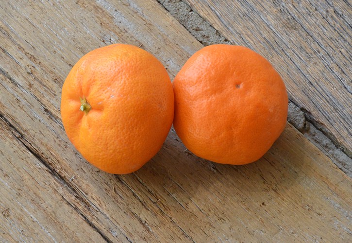 みかん品種