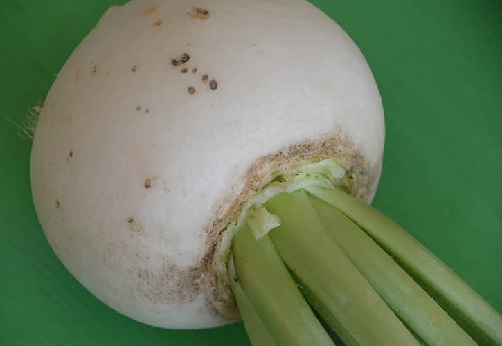 辛味大根