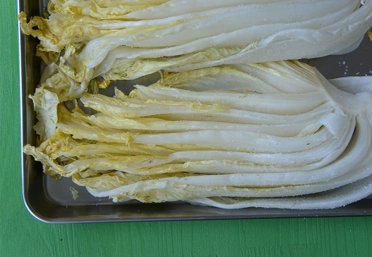 白菜浅漬け