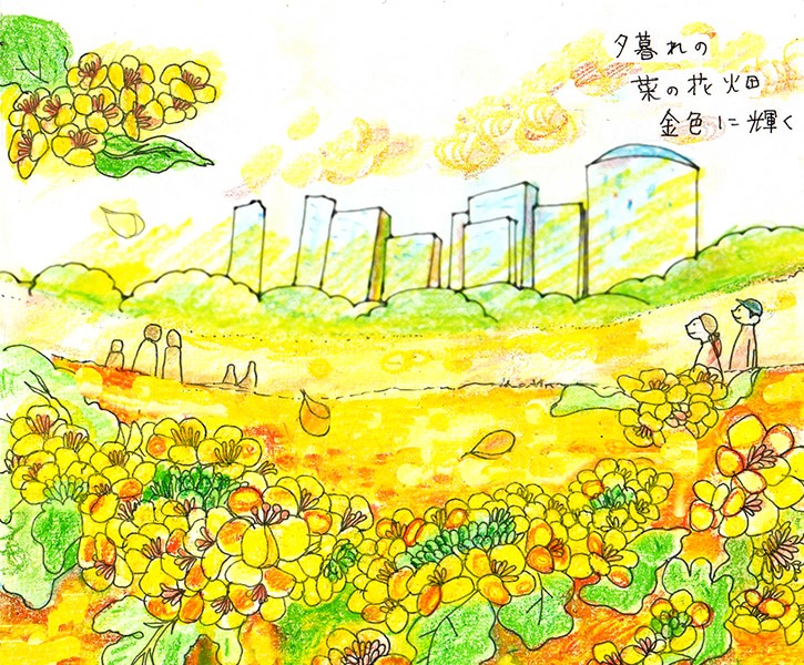 菜の花畑