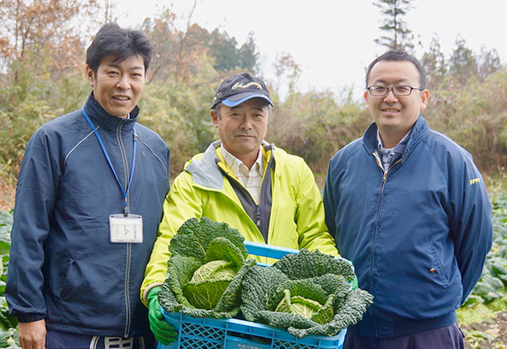 手探りで育て始めた「サボイキャベツ」／宮城・加美町門脇茂さん