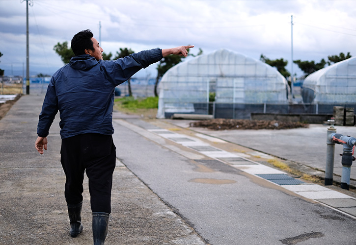 加賀野菜
