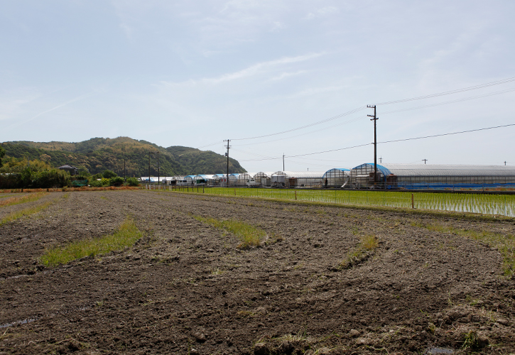 春野町