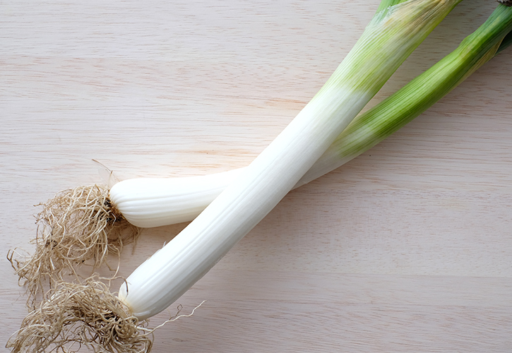 飛騨伝統野菜