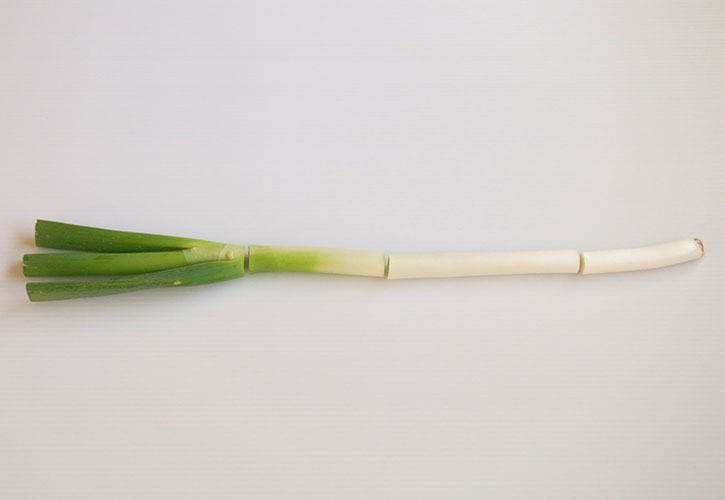 ねぎ