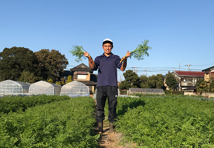 vegelife
