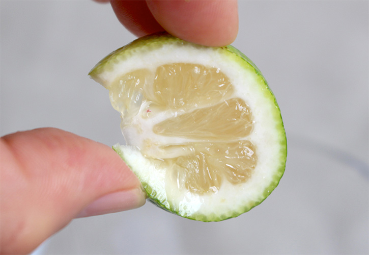 かぼすしぼる