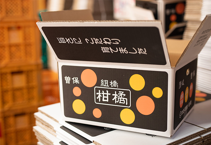 組橋愛子