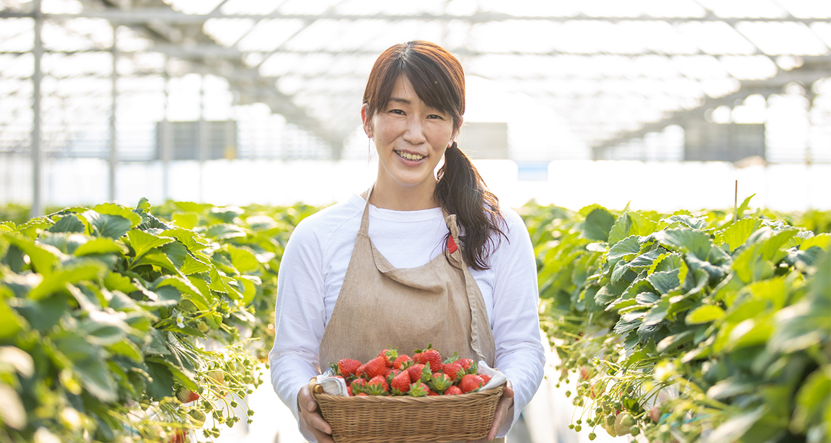 人にもイチゴにも 快適な環境をつくる／香川・三豊市　横山 千恵さん　