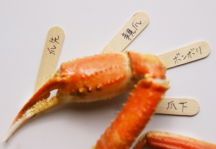 ハサミ