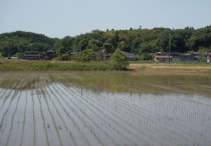 山本きのこ園