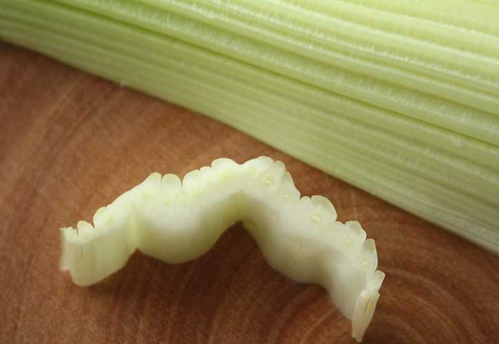 セロリ維管束