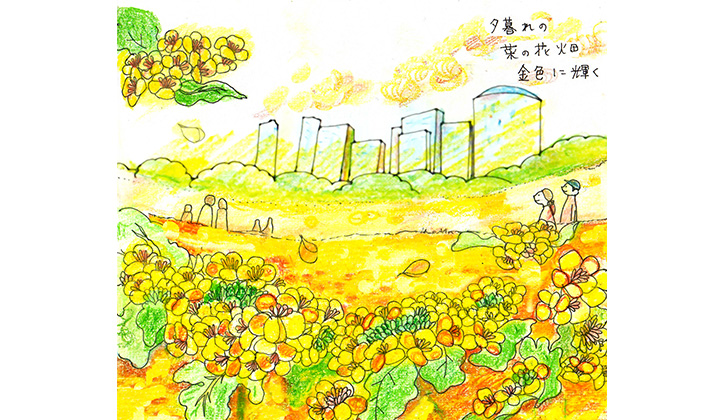 春告げ野菜、菜の花の茹で方