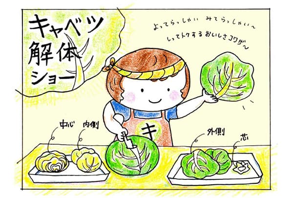 食べよう、キャベツ！切り方しだいで、もっと美味しく