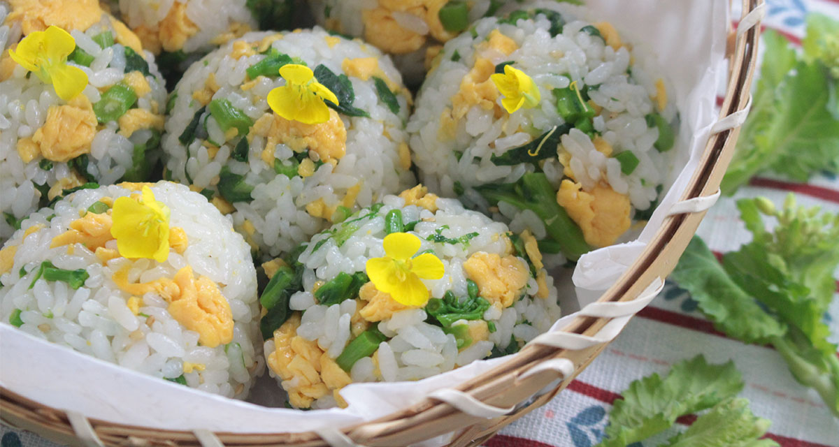 春を感じる菜の花おにぎり