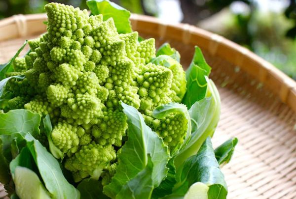 ロマネスコの食べ方、知ってますか？