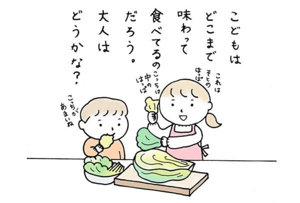 白菜は部位の使い分けが鍵！白菜料理、もっと美味しく。